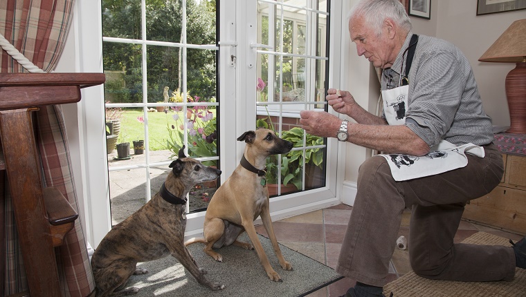 A senior man teaches two dogs to sit with treats and a clicker.