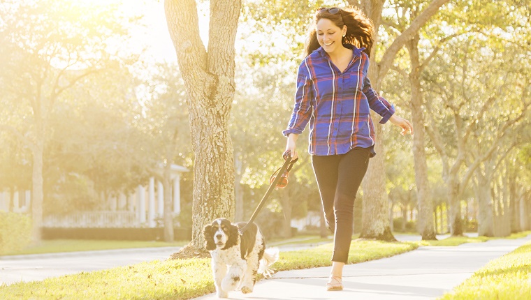 A dog owner goes for a morning run with her Spaniel on leash next to her.