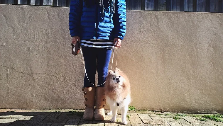 A woman holds a retractable leash handle in one hand and grabs the cord in the other. A Pomeranian stands next to her on the leash.