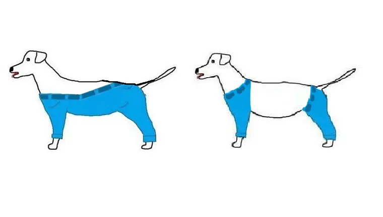 Two dogs have different designs of pants, one that covers all legs and some of the back, one that has two sets of pants, one for the front legs and one for the back.