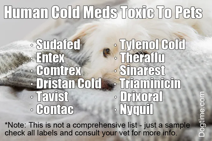 human-meds-toxic-to-pets-2