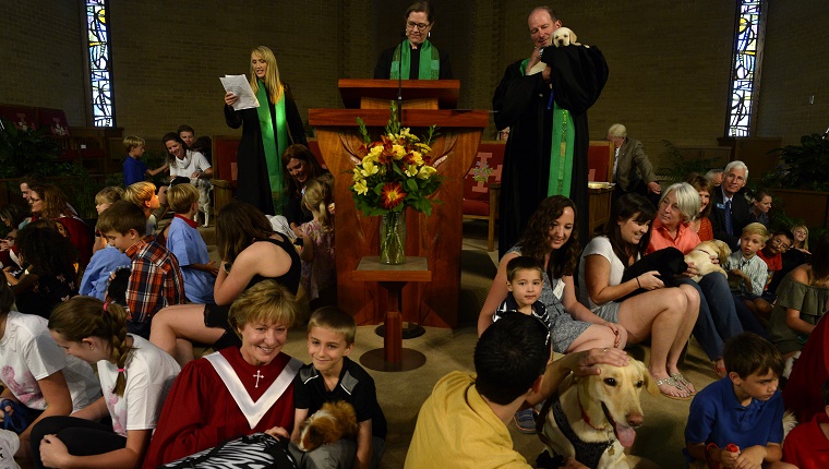 A church congregation has families and their pets surrounding the altar while a priest speaks.