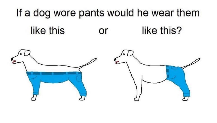 The graphic of two dogs wearing different kinds of pants that started the internet debate.