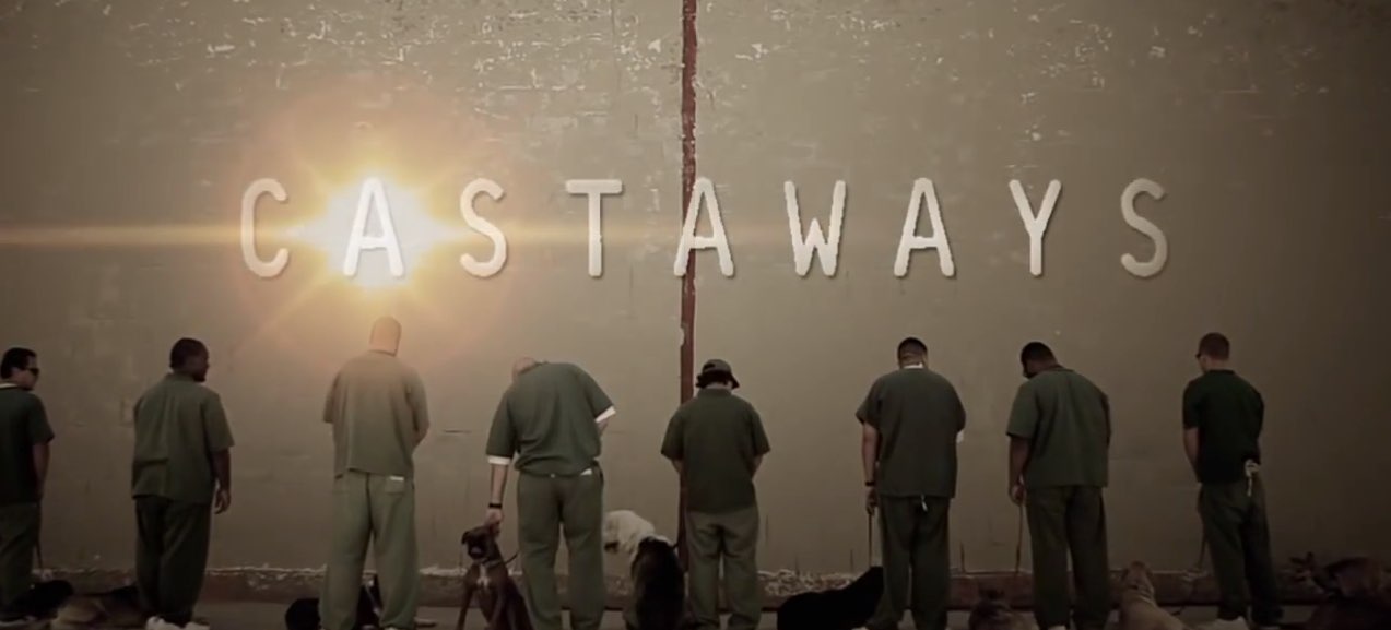 Saving Castaways The Story Of Hopeless Dogs And The Inmates Who Rehabilitate them DogTime