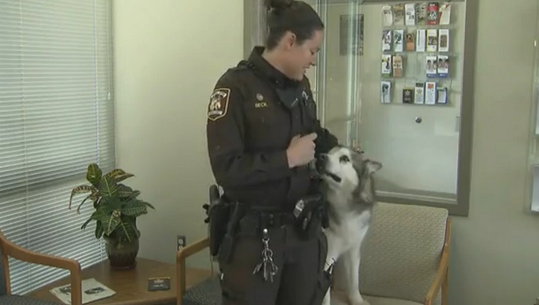 Deputy Beck pets Marty who stands on a chair beside her.
