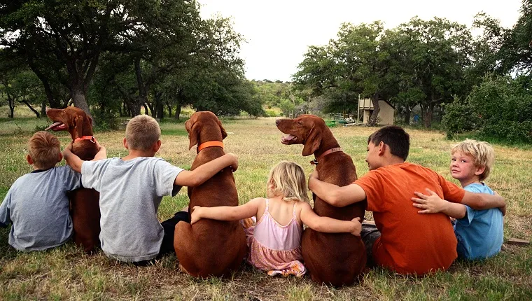 A group of kids sit with their arms around each other and three dogs.