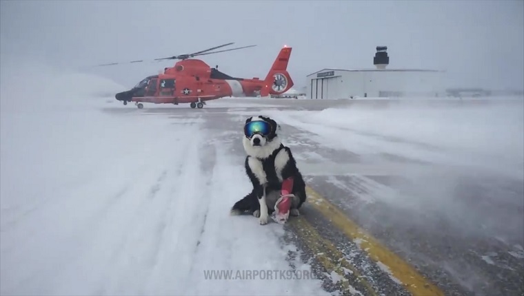 Piper stands on a snowy runway in front of a helicopter