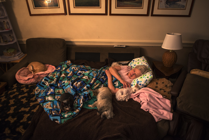 Do You Sleep With Dogs DogTime do-you-sleep-with-dogs-dogtime