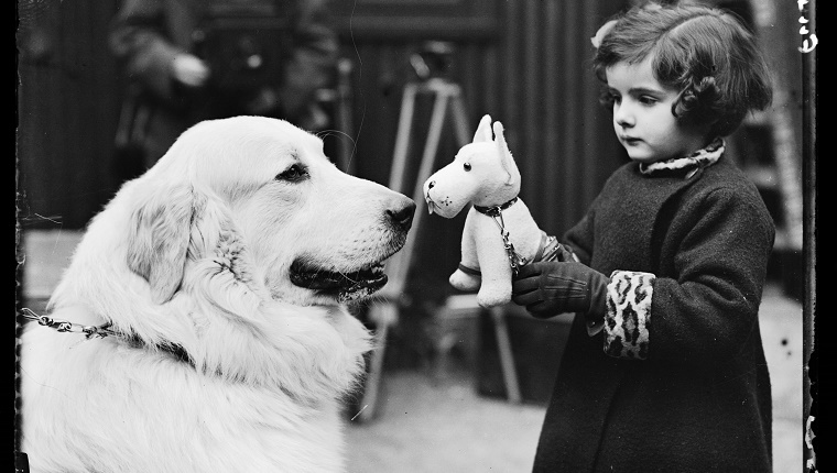 A little girl holds a stuffed dog next to a real dog at a Cruft's show in 1937.