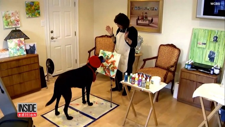 Dagger II wears a red beret and paints next to his owner.
