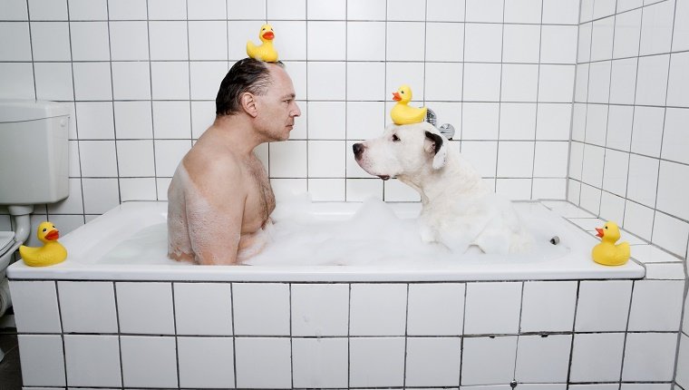 A dog sits in a tub facing his human. Both have rubber duckies on their heads. You can tell it's getting really awkward.