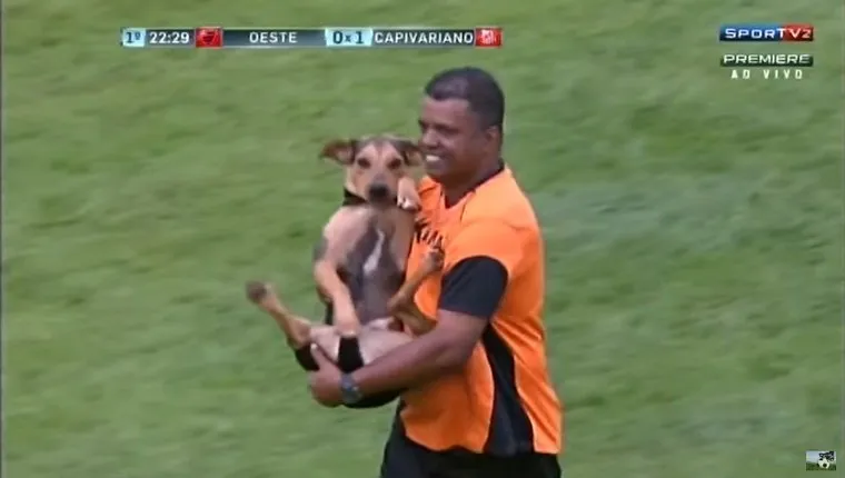 A referee carries the dog off the field.