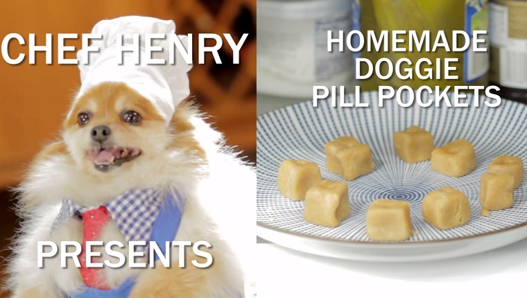 Homemade dog pill pockets without hot sale peanut butter