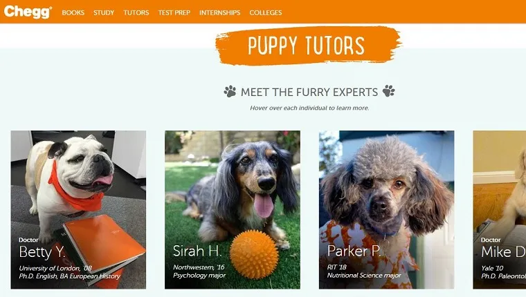 Puppy tutors are listed