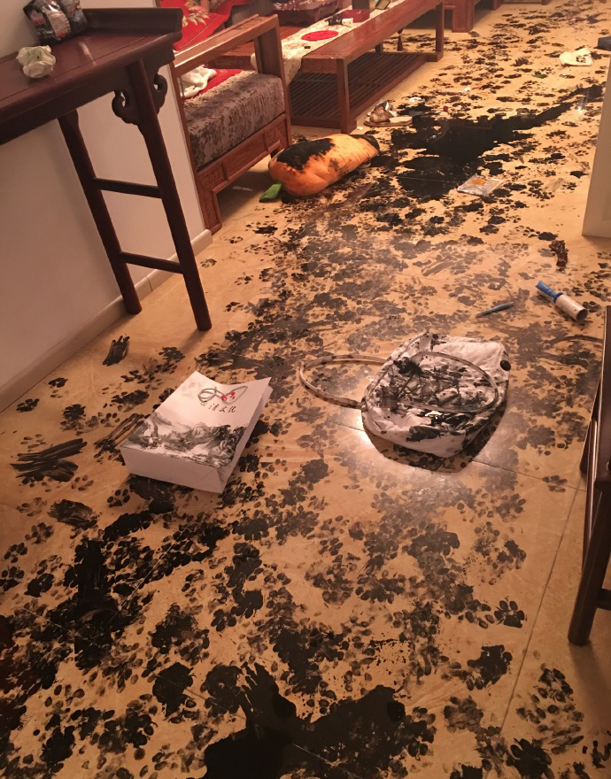 Paw prints cover the floor, a purse, and a pillow.