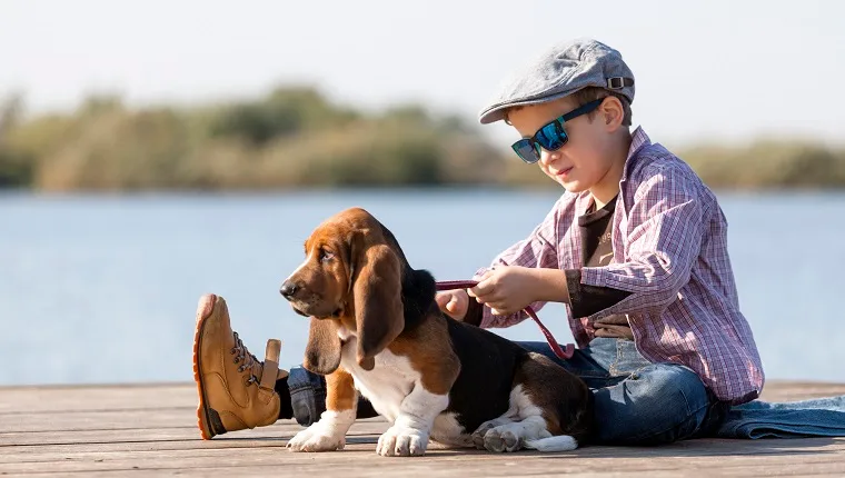 Little sweet boy with a hat and sunglasses sits by the river with his dog. They enjoy together on a beautiful sunny day. Child hugging his dog. Growing up, love for animals - dogs, free time, travel, vacation. Copy space