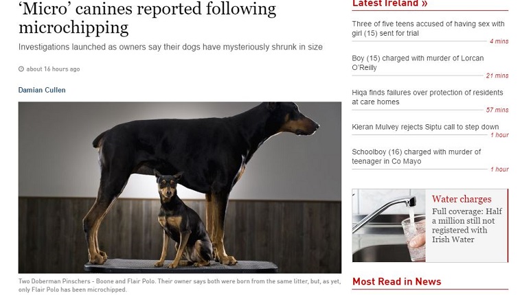 A news story about microchips shrinking dogs