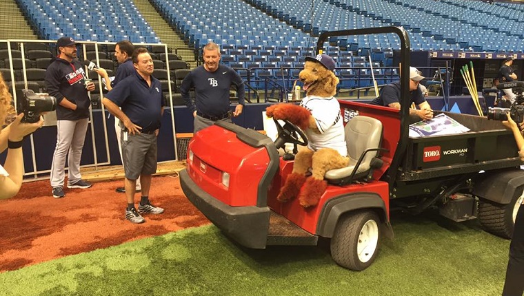 Max sits on a cart on the field with his paws on the wheel.