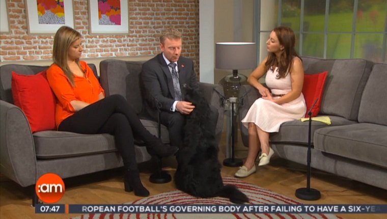Alan Tobin appears on a talk show with his dog.
