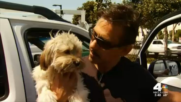 Jack and his owner are reunited.