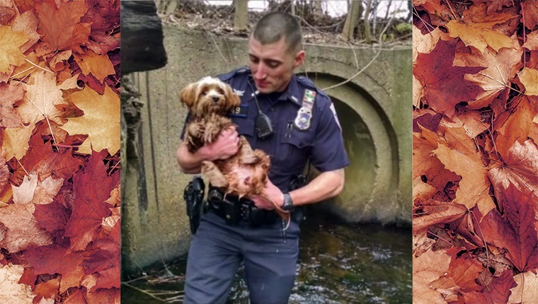 The officer holds the wet dog in his arms.