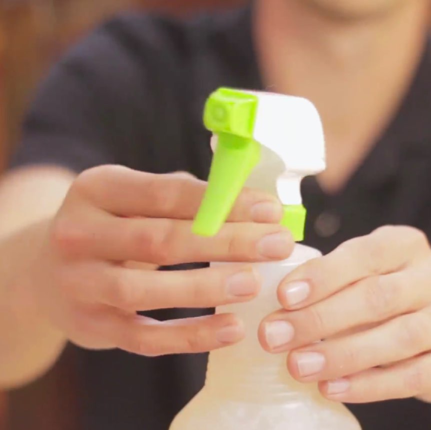 Life Hacks For Dogs Make Your Own Dog Enzyme Pee Cleaner DogTime