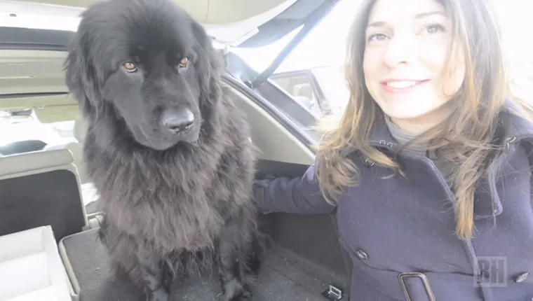 Leah Bardes sits next to Veda the Newfoundland