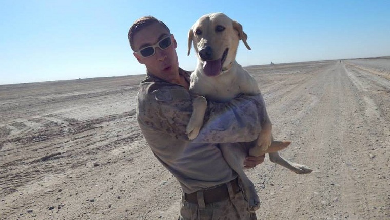 marine-reunited-bomb-sniffing-dog-afghanistan