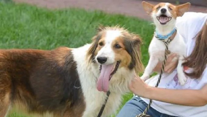 Daisy and River smile for the camera