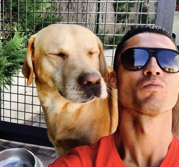 Top 5 Footballers in the World and Their Unique Dogs - Sirius Healing