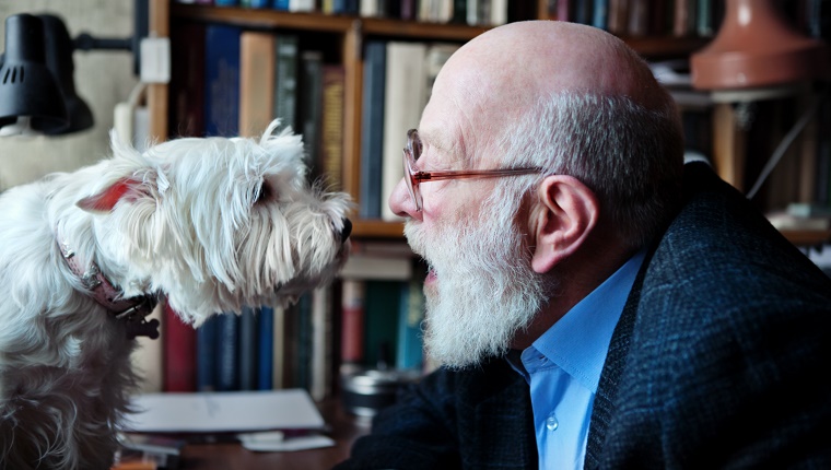 Senior Adult Man With His Dog, heart-to-heart talk.