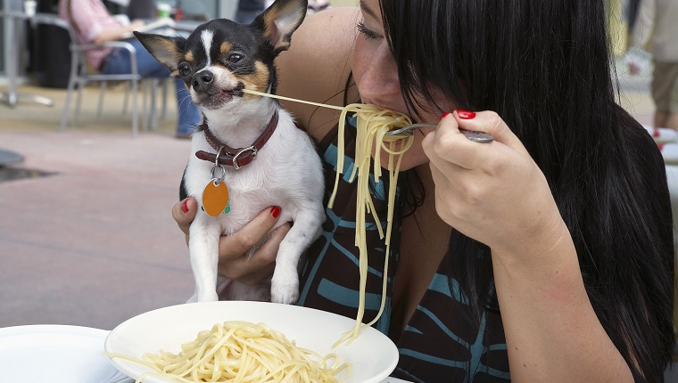 Woman and dog sharing pasta