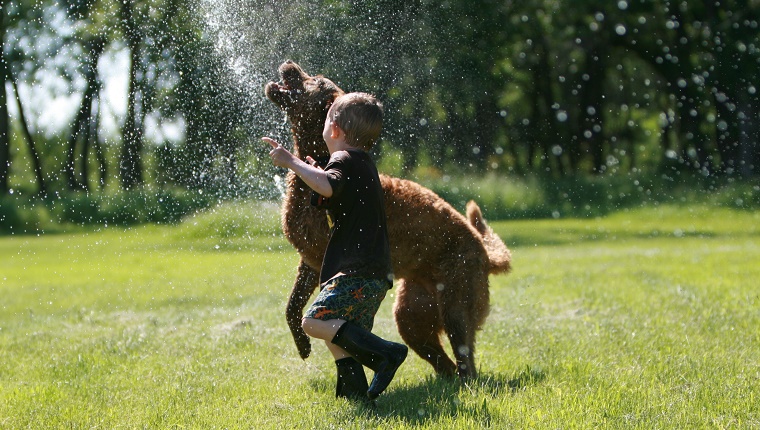 boy and dog running through sprinkler