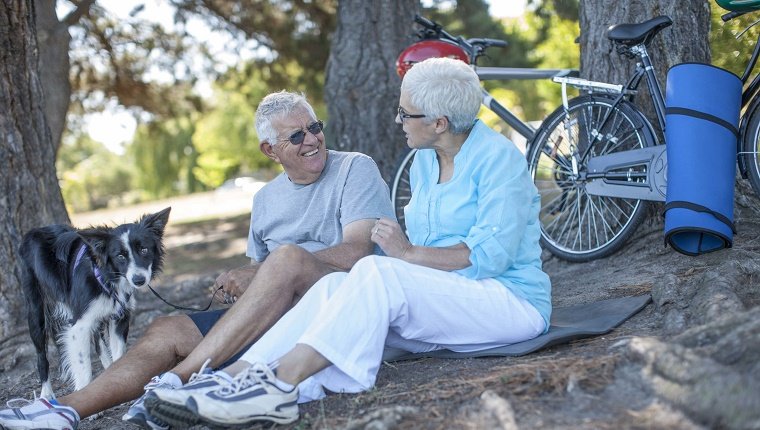 Elderly couple sitting outdoors with dog and bicycles