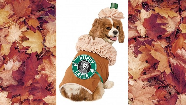 dog-costumes-2016-latte