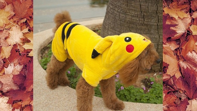 dog-costumes-2016-pokemon