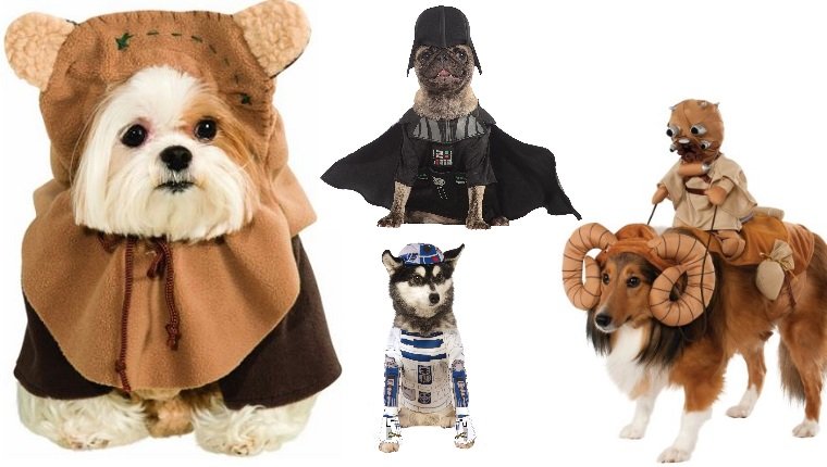 dog-costumes-2016-star wars