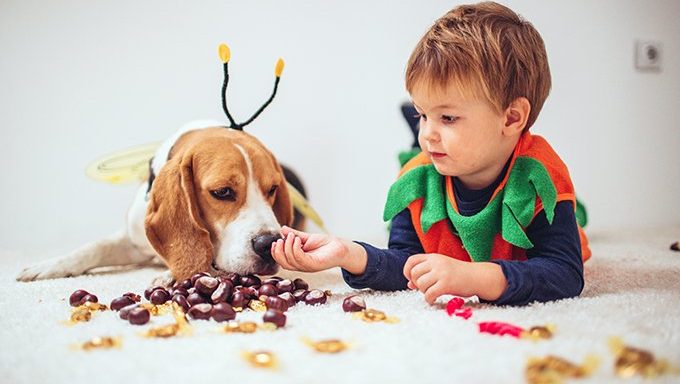 boy giving chocolate to dog in costume