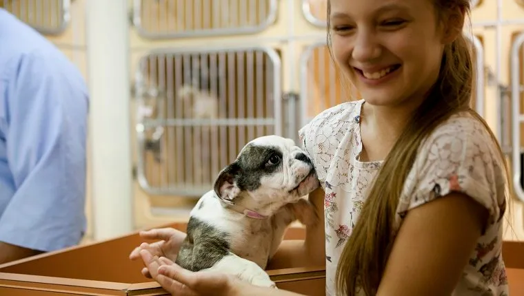 At animal adoption centre cute girl holding a puppy ready to adopt