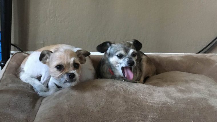 Betty (left) with her new senior sister Genie