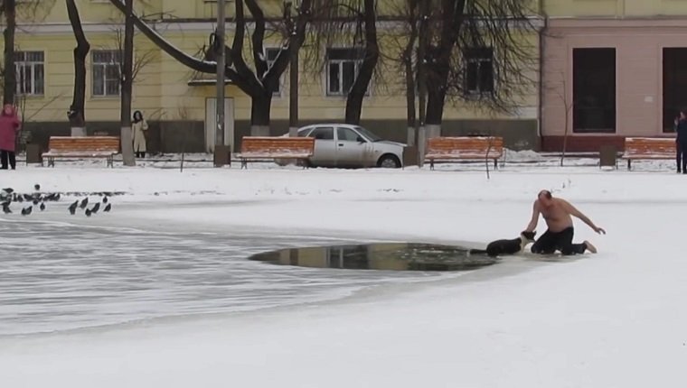dog-saved-frozen-pond-3