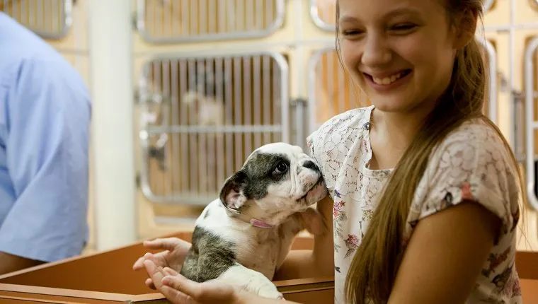 At animal adoption centre cute girl holding a puppy ready to adopt