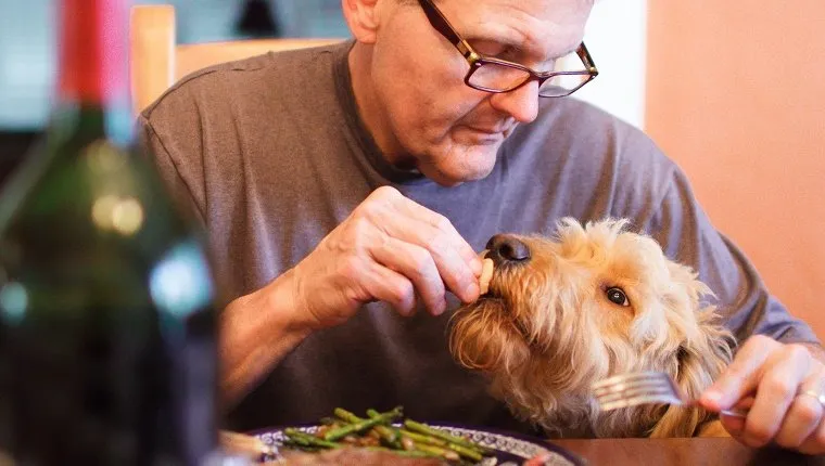 Senior man feeds dog from table