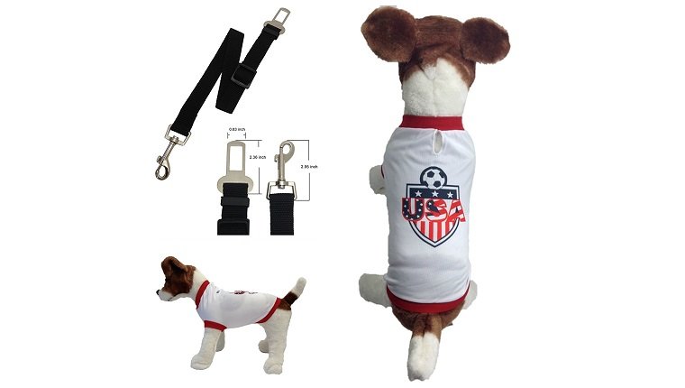 sports dog gifts 4