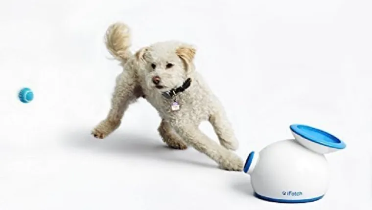 dog-gadgets-gift-guide-1