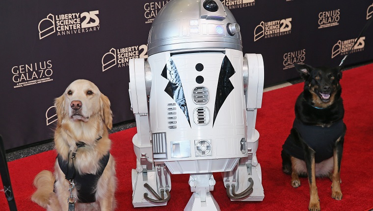 Dogs pose with R2D2 on red carpet during the Genius Gala 7.0 at the Liberty Science Center in Jersey City