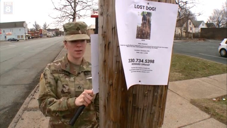army-private-lost-dog-1