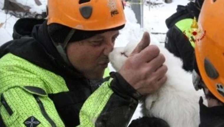 ABRUZZO, ITALY - JANUARY 23: A handout photograph provided by the Italian Fire Department shows rescue crews hold pets as they make search and rescue works in the area of the hotel Rigopiano, which was hit by a massive avalanche due to earthquakes on 18 January in central Italy, in Farindola, Abruzzo region, Italy, on January 23, 2017. (Photo by Vigili del Fuoco/Handout/Editorial Use Only/Anadolu Agency/Getty Images)