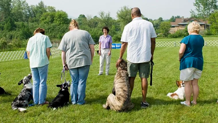 Instructor giving direction to a line of owners with their dogs during a dog training class.