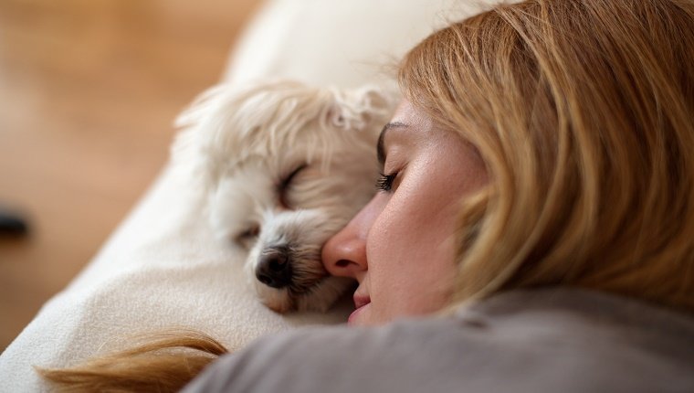 Maltese dog on bed sleeping next to a beautiful blonde girl